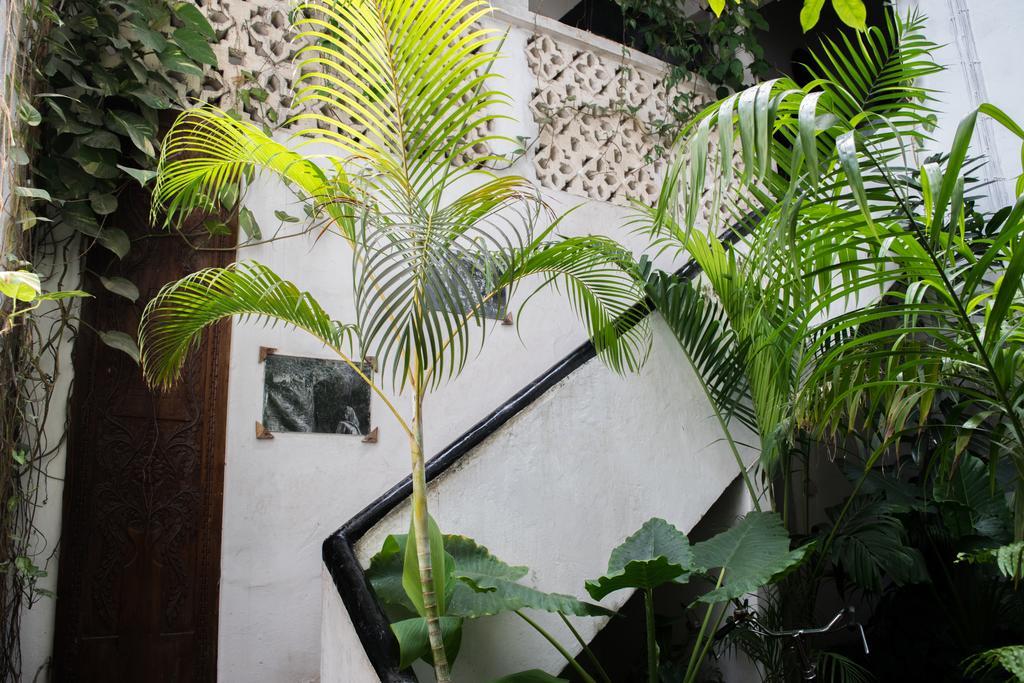 Malindi Guest House Zanzibar ภายนอก รูปภาพ