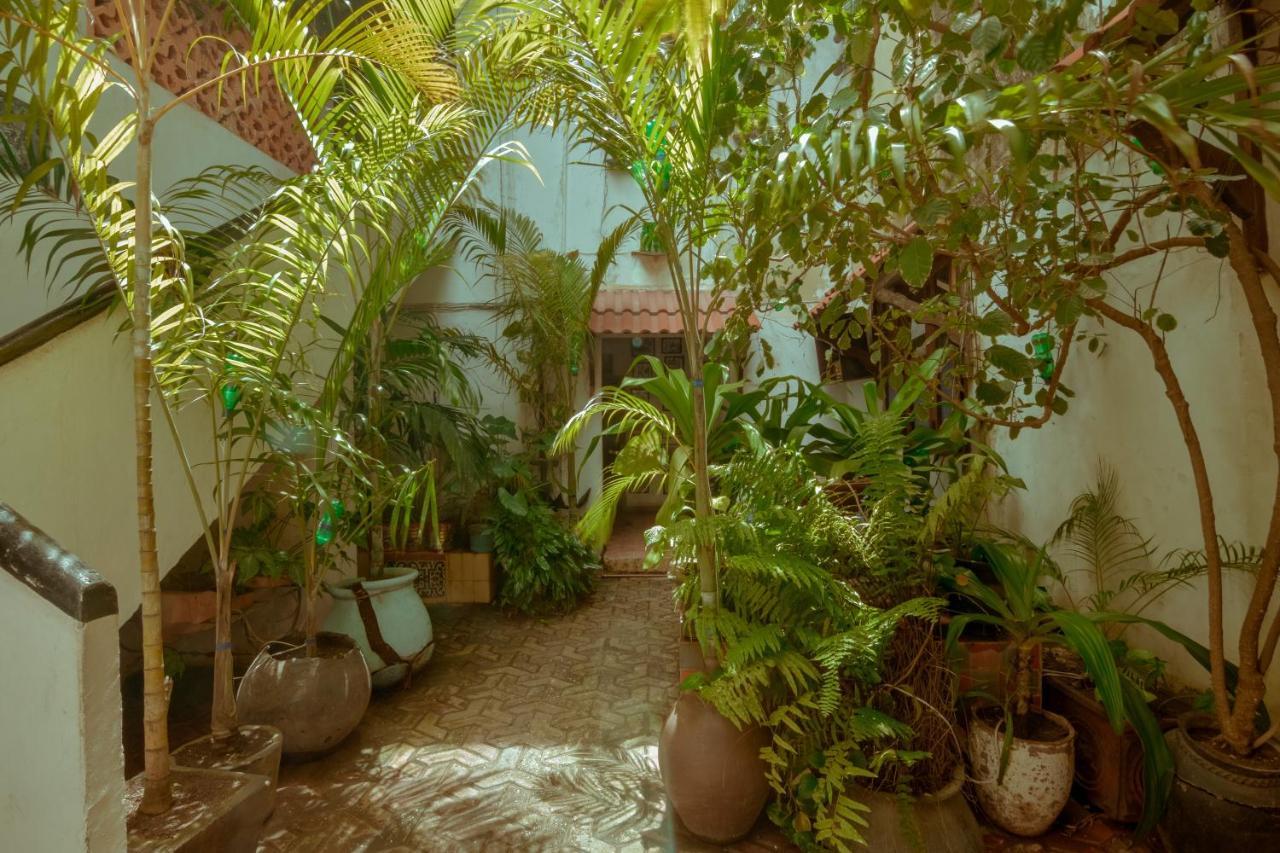 Malindi Guest House Zanzibar ภายนอก รูปภาพ