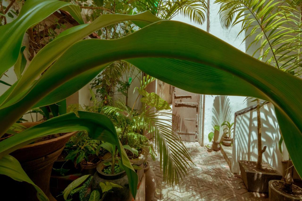 Malindi Guest House Zanzibar ภายนอก รูปภาพ